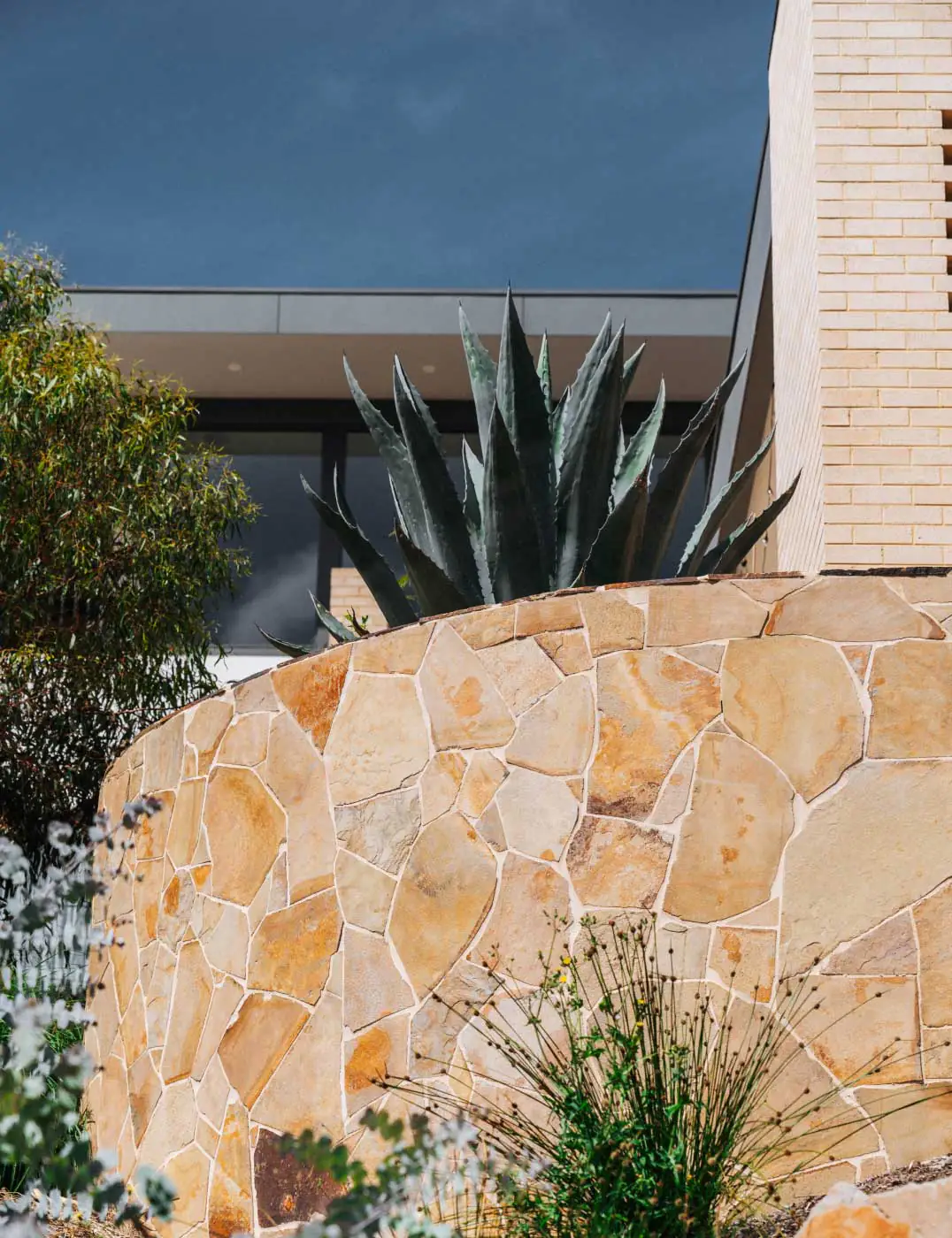 Curved beige stone wall in front of a modern building, with a large agave plant behind and a clear blue sky above.